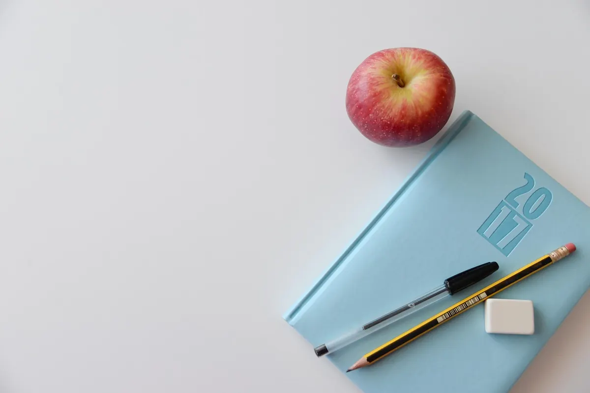 From Zero to Developer: A 6-Month Self-Study Roadmap for 2024